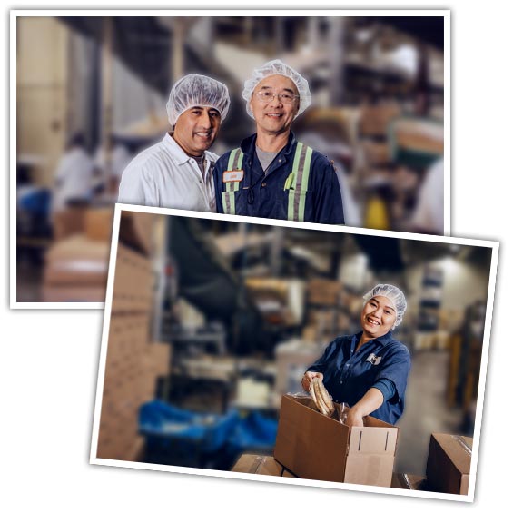 Join our Family Bakestone Brothers